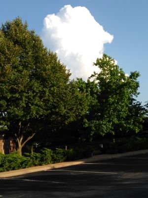 IdaClar39804280's profile picture. Business & Finance