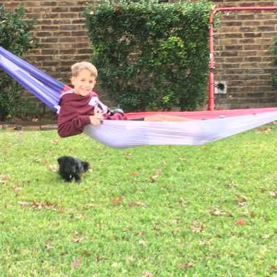 heisatouchdown's profile picture. Astros, Aggies, LFWBR. Dallas/Lufkin, TX. Follow Astros, golf, BMX, and all Aggie Sports.