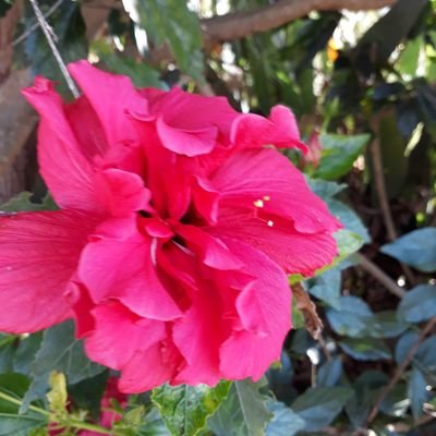 yuyingwoo's profile picture. 