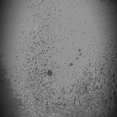 rodnysaa's profile picture. 