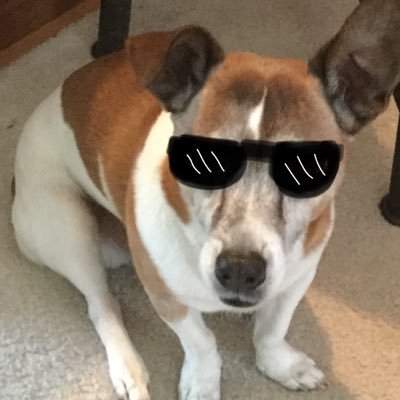 DabbeltP's profile picture. 