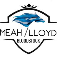Meah-Lloyd Bloodstock (@meahlloyd) 's Twitter Profile Photo Meah-Lloyd Bloodstock (@meahlloyd) 's Twitter Profile Photo