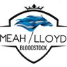 MeahLloyd's profile picture. Transatlantic Bloodstock partnership between David Meah (US) and Jamie Lloyd (UK) specialising in the purchase of thoroughbreds at public auction and privately