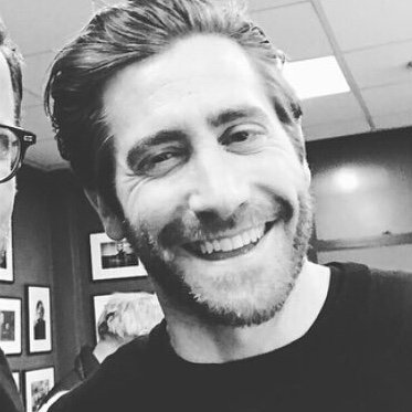 just the best of jake gyllenhaal