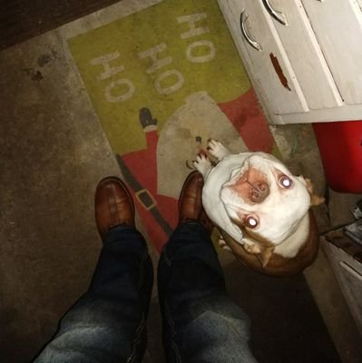 loupero's profile picture. Fella supporter