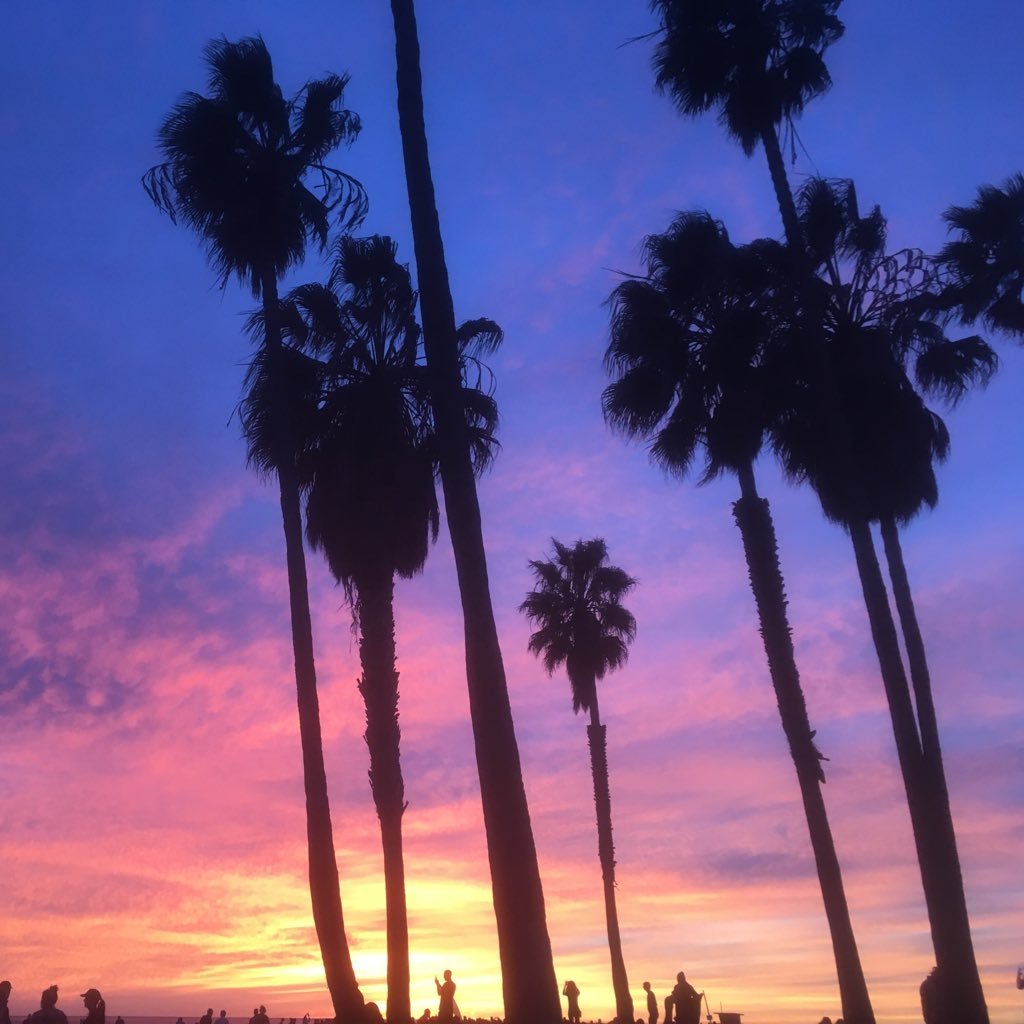 PaulDenver84's profile picture. 