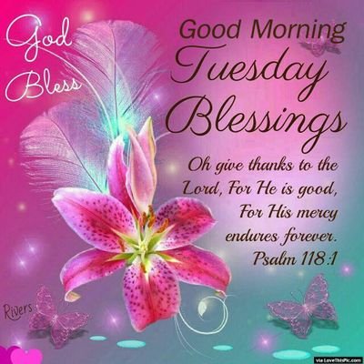 AFombalang's profile picture. Music Music Movies Sports News