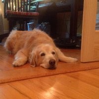 John Garrison (@js_garrison) 's Twitter Profile