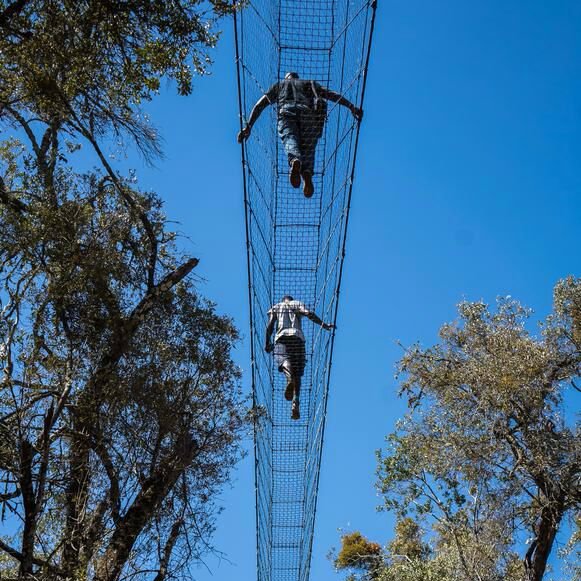 NgareNdare Forest is found at the foothills of Mt. Kenya with  Blue pools/waterfalls and 200 year old trees supporting a variety of birds and animal life.