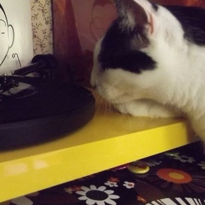 Christine On Twitter Johnny Hallyday S Le Mauvais Reve Found The Right Combination Of European Pop Melodrama And Psychedelic Rock Https T Co Mvhdplfeox Https T Co Egmlbfxqfb