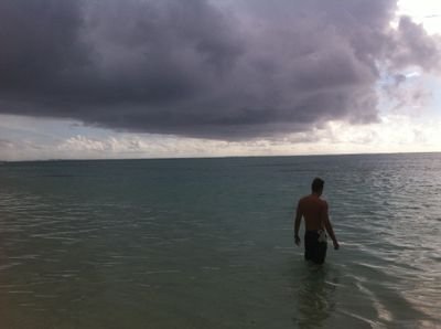 sandroarcdias's profile picture. If only curiosity was an olimpic sport...