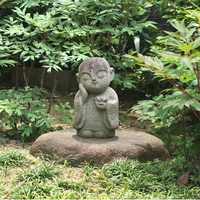 広島育ちのカープじいさん 磯釣り🎣に行って海眺めてる時好きです 時間ある日いろいろご飯料理作ってます 孫5人の成長 幸せ感じます ツイッター不慣れですがよろしくお願いします🙇♂️