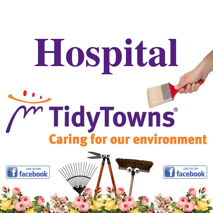Hospital Tidy Towns