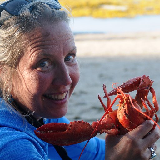Mainer. Travel writer. World traveler. Lobster fiend. Editor-turned-freelancer. Author. Dog mom. Avid skier. Ice cream aficionado. Spa/cheese/chocolate lover.