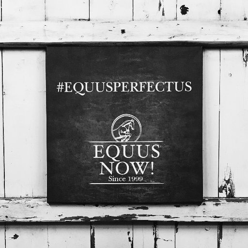 Equus Now!