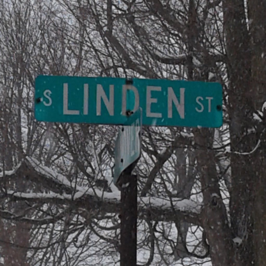 lindenfan1616 on twitch, Machinist, Canuck fan! Seahawks fan!! Lockett/Linden collector #12s #GoHawks