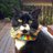 psychwriter1515's avatar