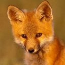 David Scott - @DavidScottBost - Twitter