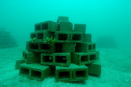 Artificial Reef Project in Playa Hermosa, Guanacaste, Costa Rica.  The first eco project of its kind authorized by the Costa Rica government.