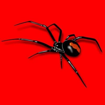 Edvendator's profile picture. 