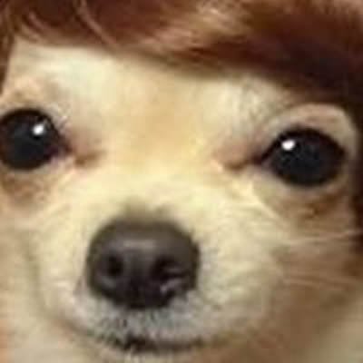 BridConkl's profile picture. 43 years old. Lubbock, TX. Amatuer musician.