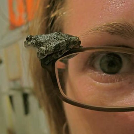 Mushrooms, insects, plants, art, general science ,& some random nonsense.