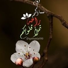 qwz200's profile picture. ‏‏‏‏‏‏‏‏‏غدا أجمل