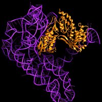 Hudson Valley RNA Club (@hudsonvalleyrna) 's Twitter Profile