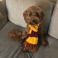Laurence Monaghan (@lmonaghan86) 's Twitter Profile