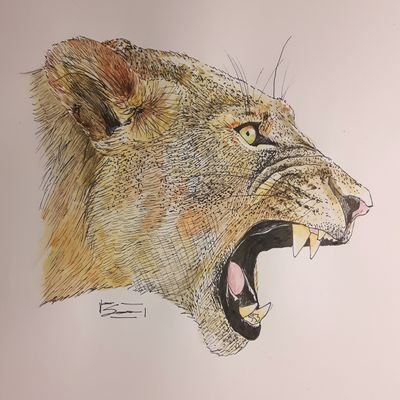 Katoptrizさんのプロフィール画像