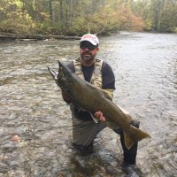 David Khanuja (@khanuja_david) 's Twitter Profile