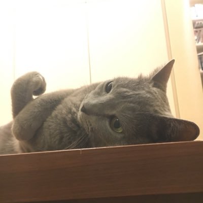 (株)アークライト代表取締役社長。(株)新紀社代表取締役社長を兼任しておりましたが、2024年5月末日に事業を(株)KADOKAWAに売却して、現在は顧問として勤務しております。
