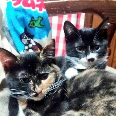 びーさんのプロフィール画像