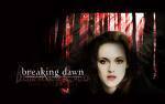 any thing twilight saga