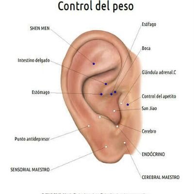molinaoasis's profile picture. 