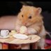 Adword Sponsorhands (@adthehamster) Twitter profile photo Adword Sponsorhands (@adthehamster) Twitter profile photo