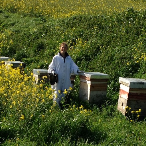 Researcher, evolution, adaptation, genomics and behaviour with a focus on bees and fish. Ass. Prof. UCD, Dublin