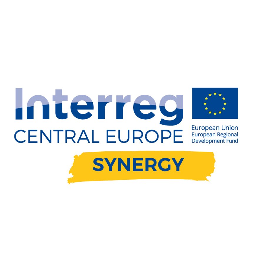 Using synergies and networks for better innovation.
