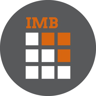 Главной целью, которую поставила для себя команда IMB — это реализация профессиональных и функциональных решений в области IT.
