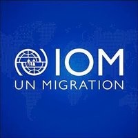 IOM Data(@UNMigrationData) 's Twitter Profile Photo