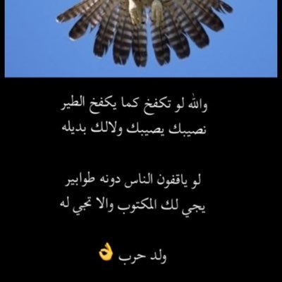 مهما تسوي فيها انك تغافلني لا بقولك تراي. عرفتك وتراي اعطيك على جوك. لكن. بخلي لك. نهايه جميله لجل تعرف كيف حياتك تكملها. اما الحين. عش.جوك 👈😉 مهما كان