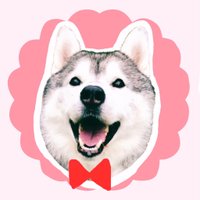 プピプピ文太 (@pupipupi_pupipi) 's Twitter Profile Photo