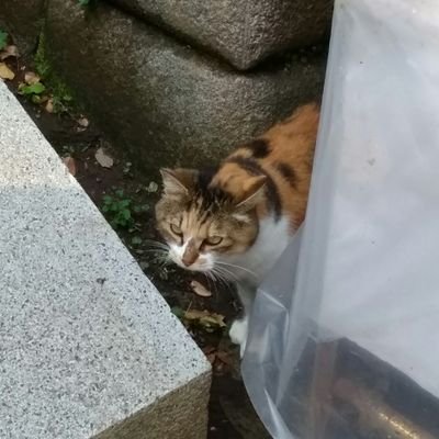 6WN0OhFHONuaV1L's profile picture. 