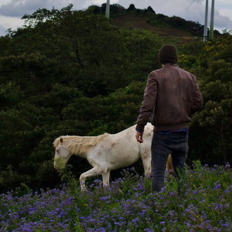 juanr_pe's profile picture. desarrollador creativo | #selinathetraveler | sarcástico de raza