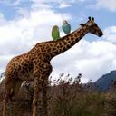 Stuart Durrant - @3stuart3 - Twitter