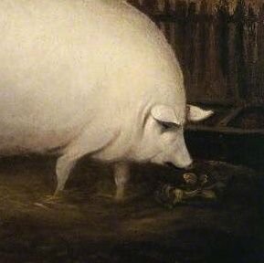 SvinskiLokum2's profile picture. The stories and information posted on this timeline are artistic works of fiction and falsehood.
Only a fool would take anything posted here as fact.