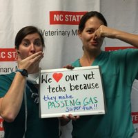 Kristen Messenger (@vetspassinggas) 's Twitter Profile