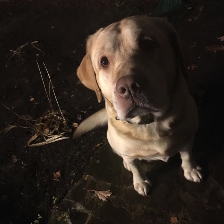 Squared100Alex's profile picture. #nomoreslavery