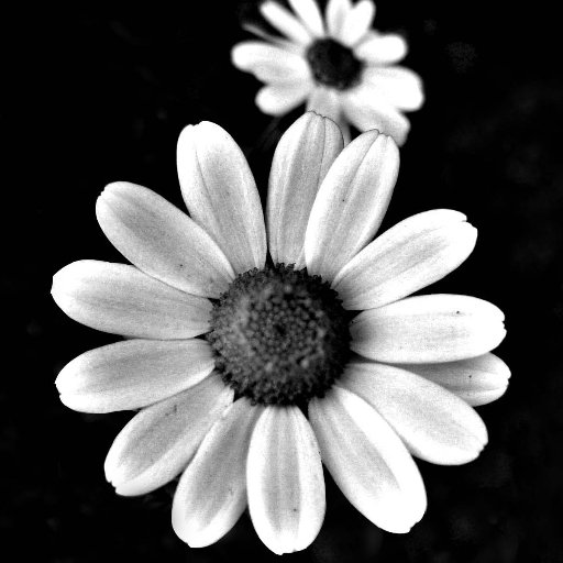 Otantigiz's profile picture. 