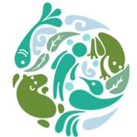 EflowsNet (@eflowsnet) 's Twitter Profile